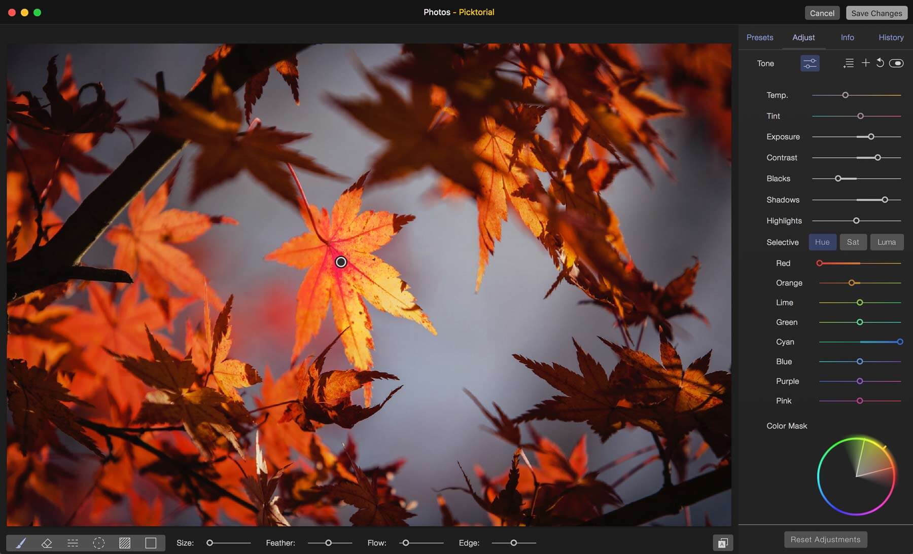 Picktorial 3.0.5 for Mac 破解版 无损的照片编辑器